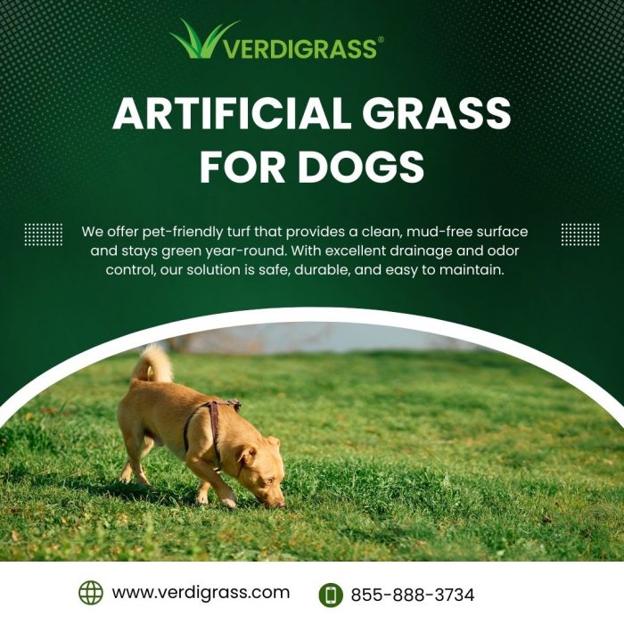 Pet-Friendly Artificial Turf – Clean & Mud-Free