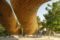The Hungry Caterpillar: A Bamboo Pavilion by Ar. Apoorva Shroff at Ashoka University, India