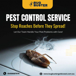 Cockroach Treatment Gold Coast – Reliable Solutions for Homes & Businesses