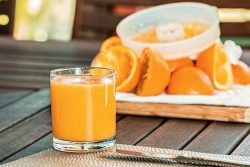 E440 Pectin – High-Quality Apple & Citrus Pectin Supplier | Xiangquan Biotechnology