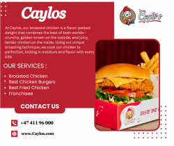 Caylos – Perfectly Broasred Chicken for Every Appetite