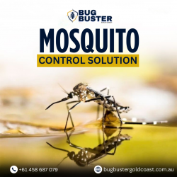Mosquito Treatment Gold Coast – Reliable Outdoor Property Care Solutions