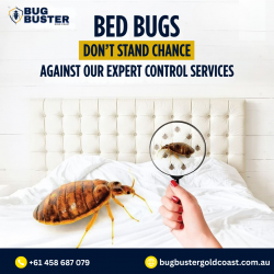 Bed Bug Treatment Gold Coast – Reliable Property Care Solutions