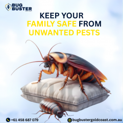 Pest Control Services – Reliable Solutions for Homes & Businesses