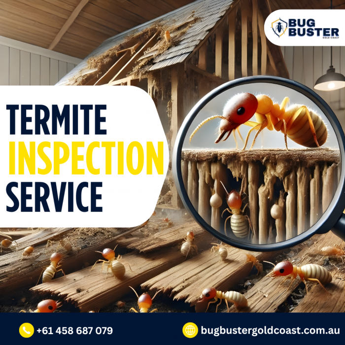 Termite Inspection Gold Coast – Reliable Property Assessment Services