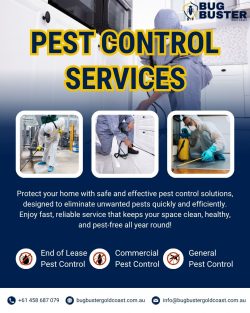 Expert Pest Control Services in Hope Island
