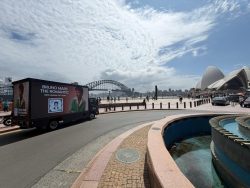 Powerful Billboard Advertising Sydney Brands Trust for Growth