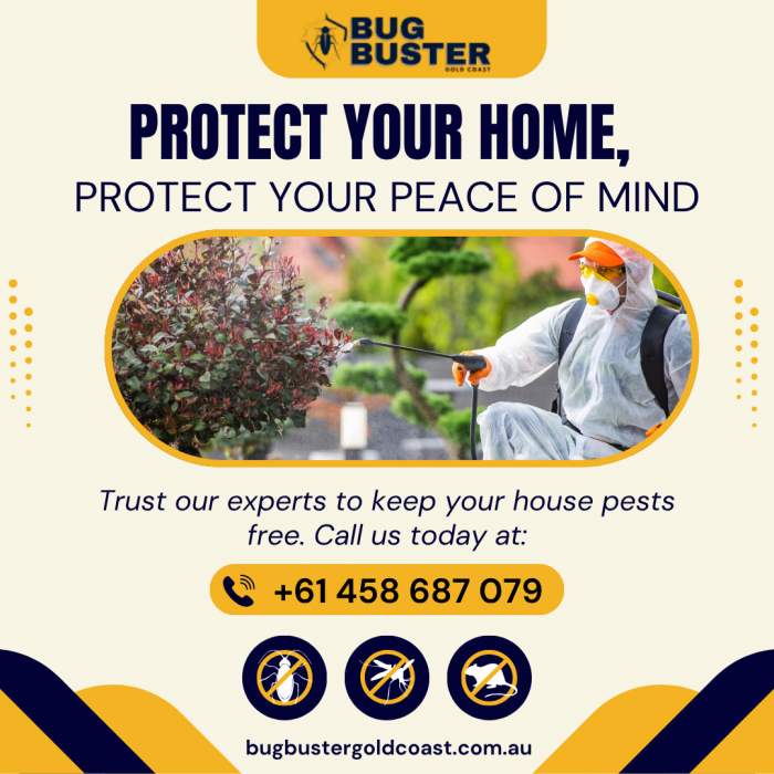 Pest Control Services – Reliable Solutions for Homes & Businesses