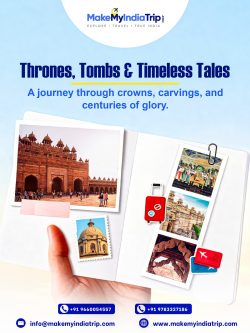 Top Tour Agents in India for Travel Packages