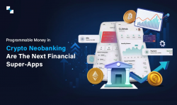 Are Programmable Money In White Label Neo Banking Solving Real Challenges?