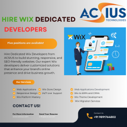 Hire Wix Developers India