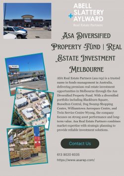 Dog Swamp Shopping Centre | Retail Asset