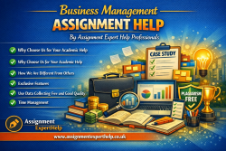 Reliable Business Management Assignment Help for All Levels
