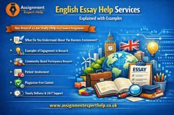 Comprehensive English Essay Help for Students