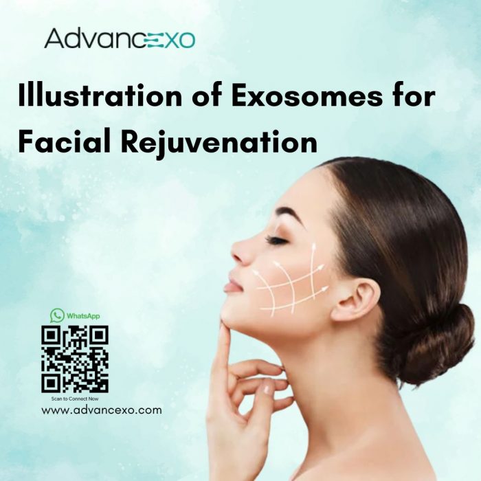 llustration of Exosomes for Facial Rejuvenation