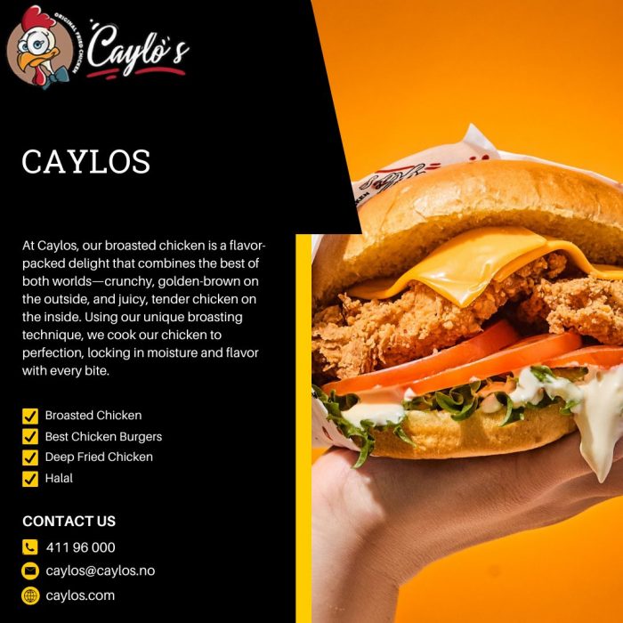 Caylos – Premium American Fast Food & Fried Chicken Brand