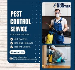 Fast & Reliable Pest Control Service in Oxenford