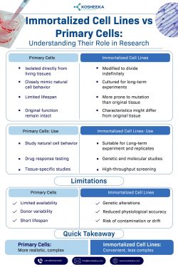 Immortalized Cell Lines vs Primary Cells: Understanding Their Role in Research