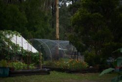 Affordable and Durable Railway Sleepers for Sale