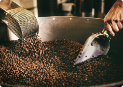 Himalaya Coffee Company: The Best Place To Buy Nepal Coffee Online