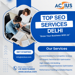 Best SEO Company in Delhi