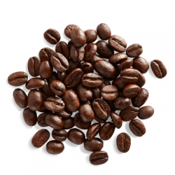 From the Roof of the World to Your Cup: Meet Nepal’s Top-Rated Coffee Roasters