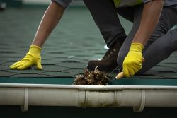 Gutter Cleaning Adelaide