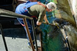 Water Clean Up Services | AquaVantage Restore