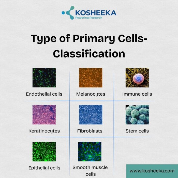 Type of Primary Cells- Classification