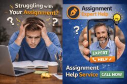 Expert Economic Assignment Help for Academic Success