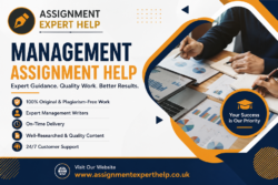 Management Assignment Help for Business Students