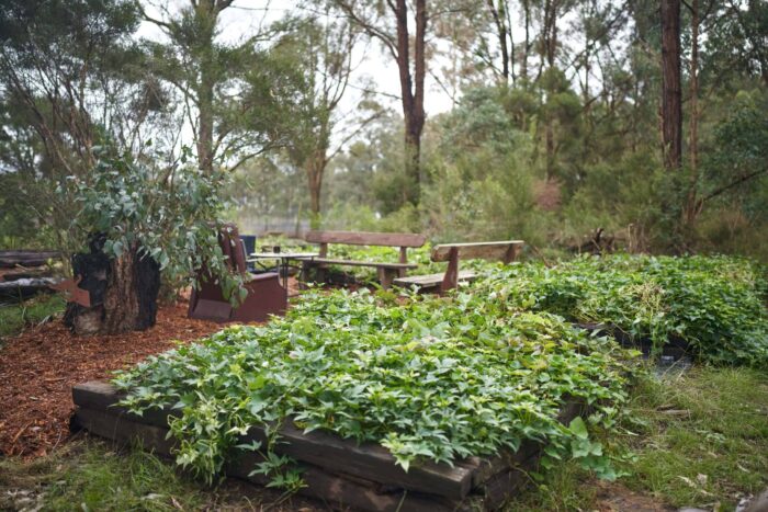 Raised Garden Beds Built with Red Gum Sleepers – Durable Landscaping Solutions by Railway Sleeper