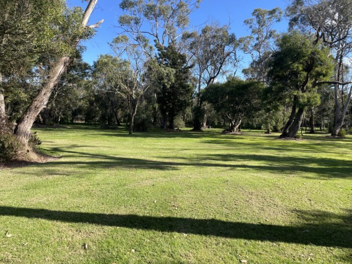 Why Land Capability Assessment Services Are Essential Before Developing Your Property