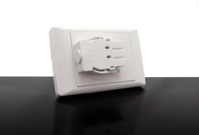 CM Starter Plate – Single