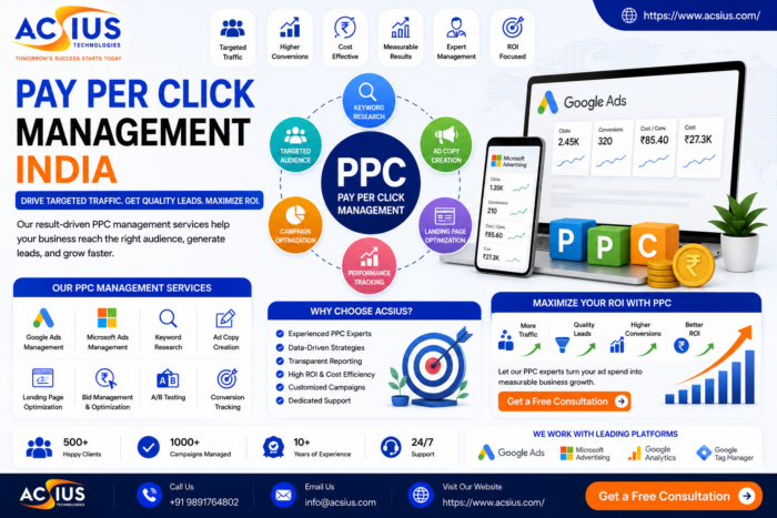 Professional Pay Per Click Management Services India