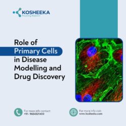 Role of Primary Cells in Disease Modelling and Drug Discovery