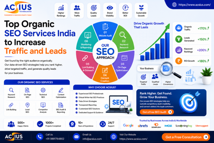 Best SEO Services in India for Business Growth & Traffic