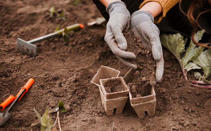 Soil Testing Cranbourne: Why Every Construction Project Starts with a Professional Soil Assessment