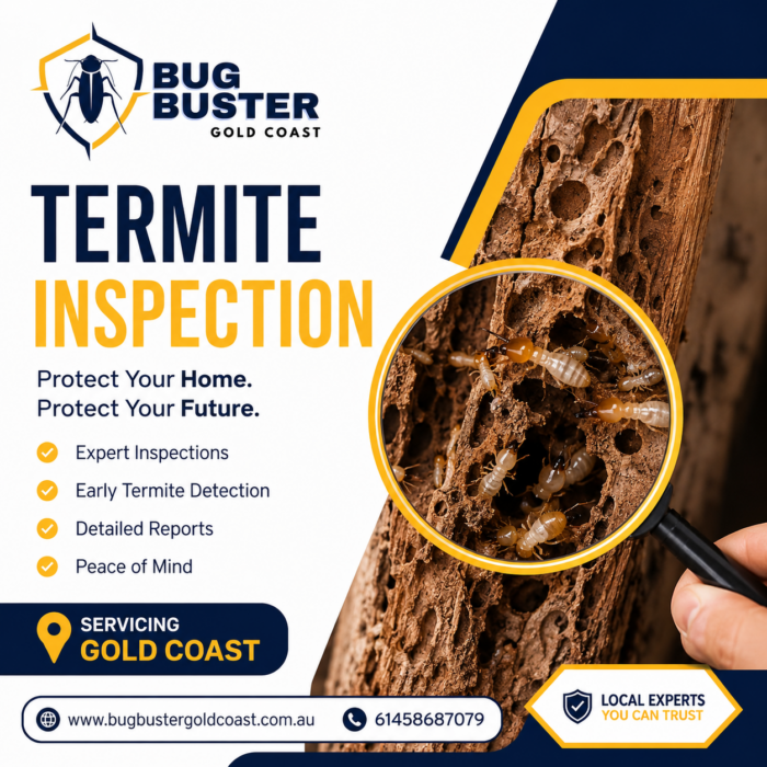 Termite Inspection Gold Coast – Early Detection for Complete Property Protection