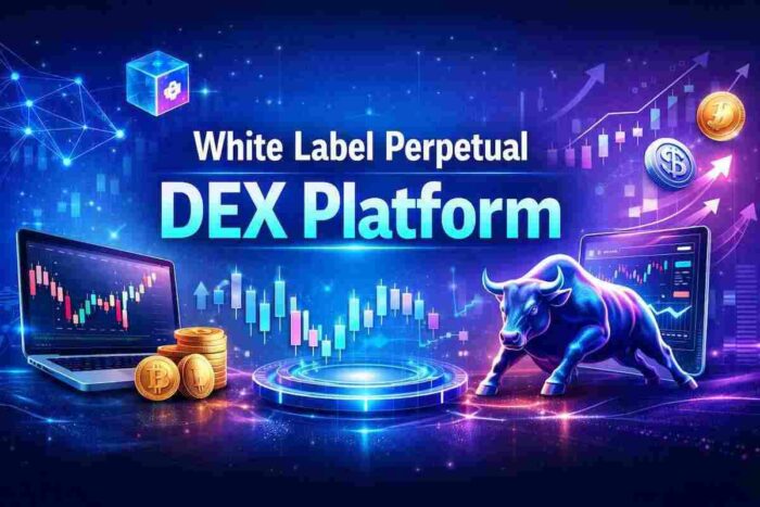 Launch Your Own White Label Perpetual DEX Platform Today