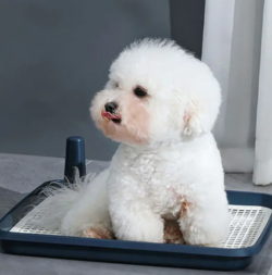 Low-Fence Dog Toilet, Center Post Design
