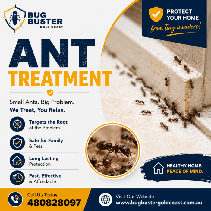 Ant Treatment Gold Coast – Protect Your Home from Ant Infestations