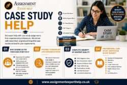 Professional Business Case Study Help for Students