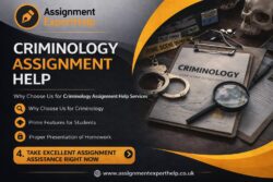 Professional Criminology Assignment Help for Students
