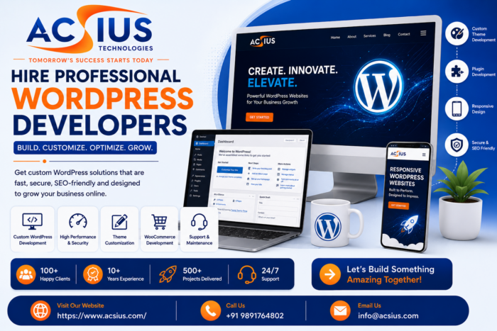 Hire Professional WordPress Developers for Custom Websites