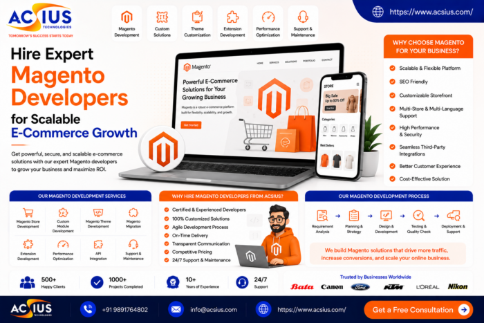 Hire Dedicated Magento Developer for E-commerce Stores