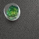 Pick a Polypropylene Fabric Carpet Built for Real Life
