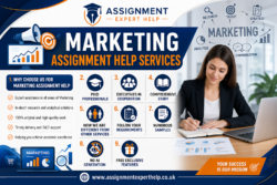 High-Quality Marketing Assignment Help for Academic Success
