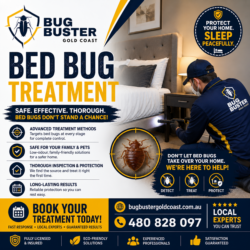 Flea Treatment Gold Coast – Professional Flea Control Services