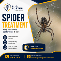 Spider Treatment Gold Coast – Fast, Safe & Reliable Spider Control